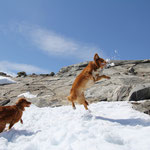 Spielen im Schnee