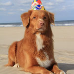 Happy Birthday Lucas