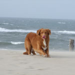 Lucas