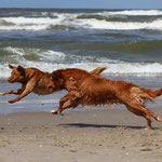 Speed
