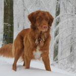 Ayuna`s erster Schnee