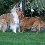 Sheila besucht Lucas und Ayuna