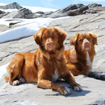 Folgefonna Gletscher