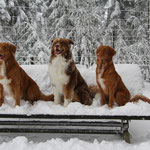Lucas, Merlin und Ayuna