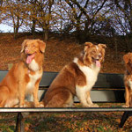 Lucas, Merlin und Ayuna