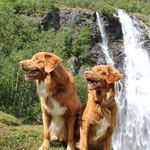 Brekkefossen, Flam