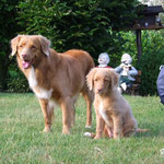 "Bruder und Schwester"