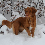 Ayuna`s erster Schnee