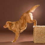 Bly zeigt "Handstand"
