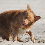 Sandbad Lucas