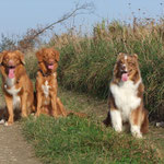 Lucas , Ayuna und Merlin