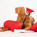 Weihnachtsmann zerlegt