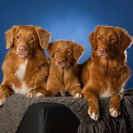 Lucas, Bly, Ayuna