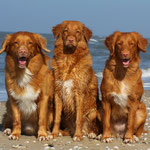 Lucas, Bly. Ayuna