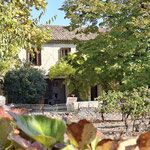 Mas de l' Arboras