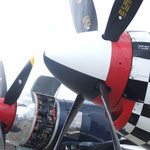 P51 Mustang und Sea Fury