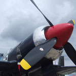 Sea Fury