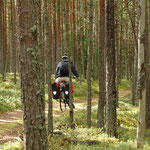 Streifzug durch die Wälder
