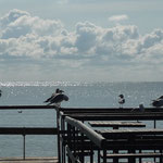 Strandblick in Litauen
