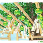 大津市膳所「和田神社」銀杏の木の下の風鈴