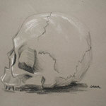 Cráneo, lápiz conté sobre papel, 2011