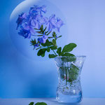 Kleine Vase