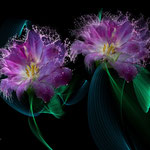 Lila Splash II
