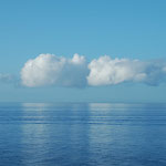 Madeira good Morning