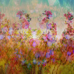 Summerflowers
