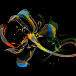Fragment