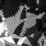 Texturen