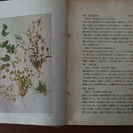 牧野富太郎著　野外植物図譜（1942年刊）　NHK朝ドラ「らんまん」の主人公牧野の著作　県立図書館より借りる