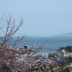 三井寺観月舞台付近から近江八幡、沖島を見る（2022.3.30）