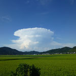 夏の雲（2021.85）　近江八幡市