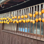 吊るし柿風景（2023.10.1）日野町