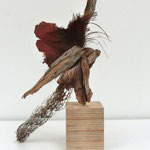 Archaeopteryx
