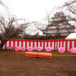 桜の木「はるか」植樹祭　会場設営2013.12.4（鶴ヶ城内）