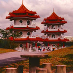 Singapur Tea Garden