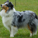 Quamara "Kiwi"