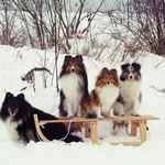 Shawnee, Twain, Venja, Kiwi