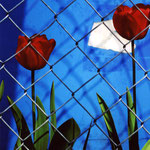 Rote Tulpen vor Blau - Bestellnummer - 857 - Postkarte