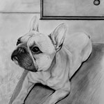 A3 Kohleportrait