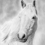 A4 Kohleportrait