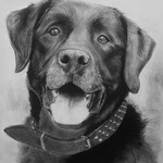 A3 Kohleportrait