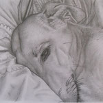 A4 Hundeportrait 