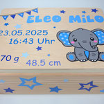 Erinnerungsbox Elefant 