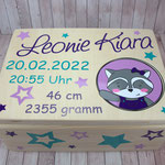 Erinnerungsbox Waschbär