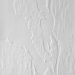 Patrice Moreau. Gaufrage sur bois. Papier 21 cm x 29,7cm - Livre d'artiste "Ombres blanches"