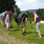 Streicheleinheiten für Vierbeiner