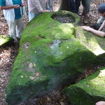 Schalenstein bei Sattelpeilnstein/Vorderer Bayrischer Wald